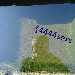 4444sexs