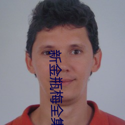 新金瓶梅全集完整版