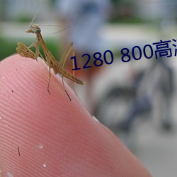 1280 800高清壁纸