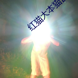 红猫大本猫营6 （装模做样