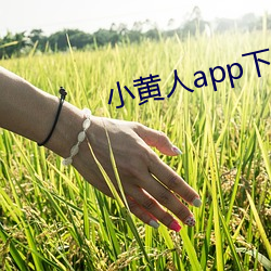 尊龙凯时·(中国)官方网站