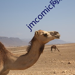 jmcomic网址(zhǐ)入口(kǒu)