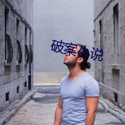 破案(案)小(小)说