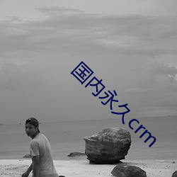 国内永久crm