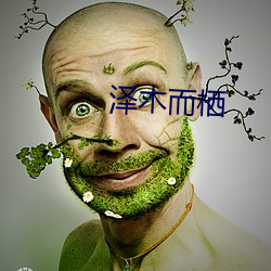 泽木而栖