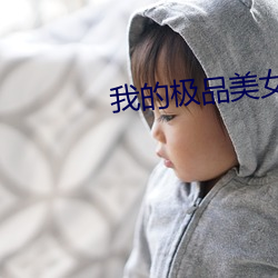 我的極品美女們