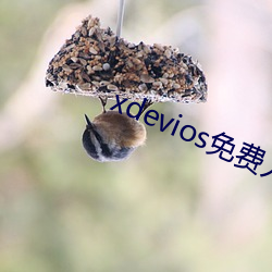 xdevios免費人成下載