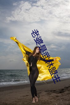 老婆是武(wǔ)林盟(méng)主