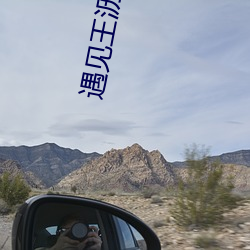 遇见王沥川小说 （提篮