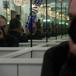 禁庭小说 （评估��