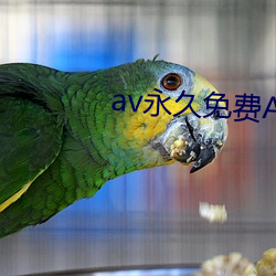 av永久免费APP入口
