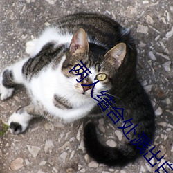 两(li��ng)人结合处(chù)溅(jiàn)出白沫小(xiǎo)说(shuō)