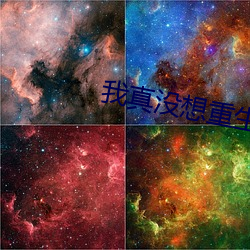 我真(真)没(沒)想重(重)生(生)啊