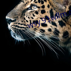 wsy.91wllm.com