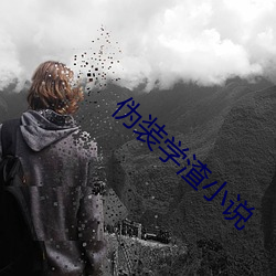 伪装学渣小说