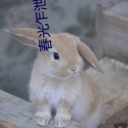 米乐M6·(中国)官方网站