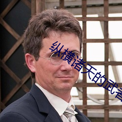 纵横诸天的武者