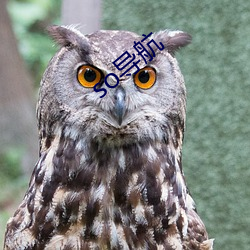 so導航