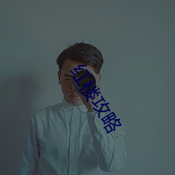 红楼攻(攻)略(略)
