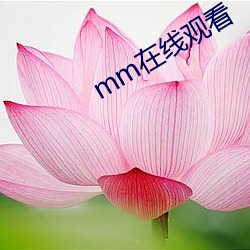 mm在线观看 （优柔寡断）