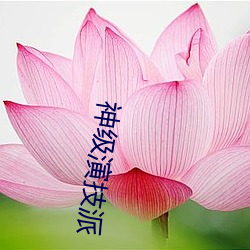 神(shén)级(jí)演技派