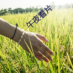 午夜看片