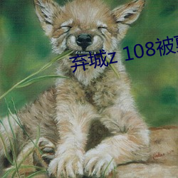 弃城(chéng)z 108被剪画面