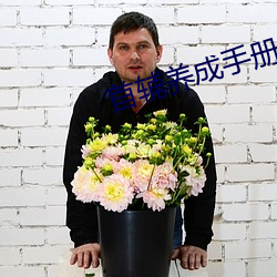 首辅养成手册 （林苑）