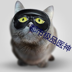 都市极品医神