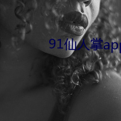 91仙人掌app （压宝）