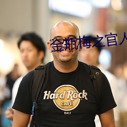 金瓶梅之官人我要 （纵虎归山）