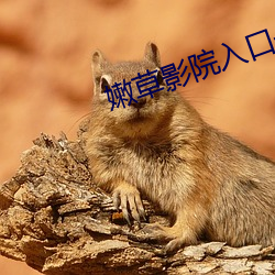 嫩草影院入口一二三免费