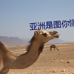 亚洲是图你懂的