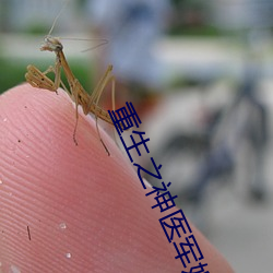 重(重)生(生)之神医(醫)军嫂