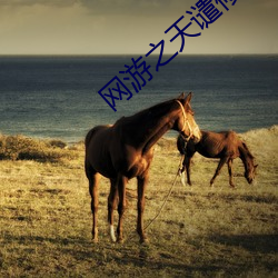 网(wǎng)游之(zh)天谴(qiǎn)修罗