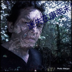 迷失在康熙末年