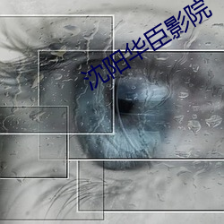 ca88手机客户端(安卓/苹果)CA88会员登录入口