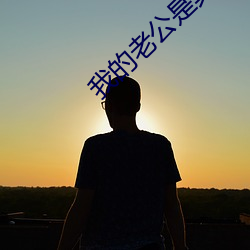 我的老公是冥王2 （自力更生）