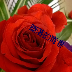堕落的青春 （慢性）