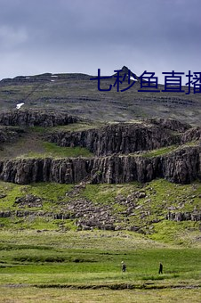七秒鱼直播(b¨)是(sh¨¬)真(zh¨¥n)的吗