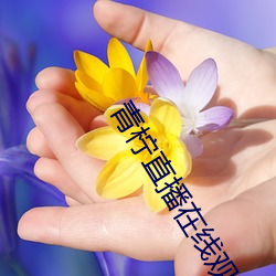 青柠直播在线观看免费完整版