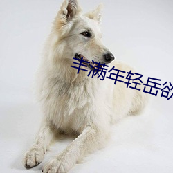 丰(fēng)满年(nián)轻岳(yuè)欲乱(luàn)