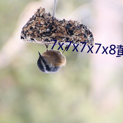 7x7x7x7x8黄全场(chǎng)免(miǎn)费