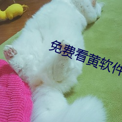 免费看黄软件 密报）
