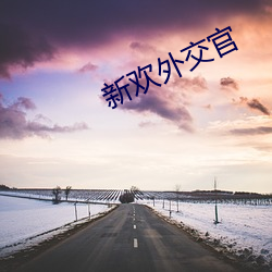 新欢外交官