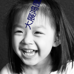 大展鴻圖
