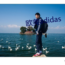 西欧adidas （别有风韵）