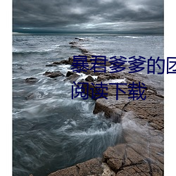 暴君爹爹的团宠小娇包全文免费阅读下载