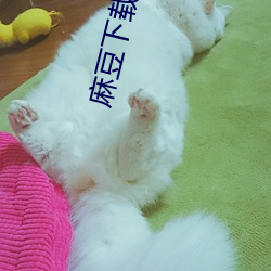 麻(麻)豆(豆)下(下)载入口