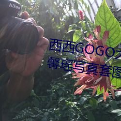 西西GOGO大膽玉人人體藝術王馨瑤寫真套圖